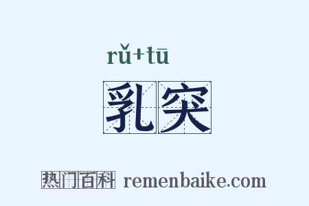 乳突是什么意思的图片
